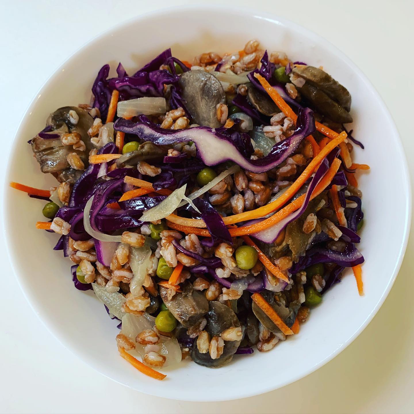 Insalata Farro Autunno Spinno